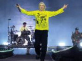 Photo #10